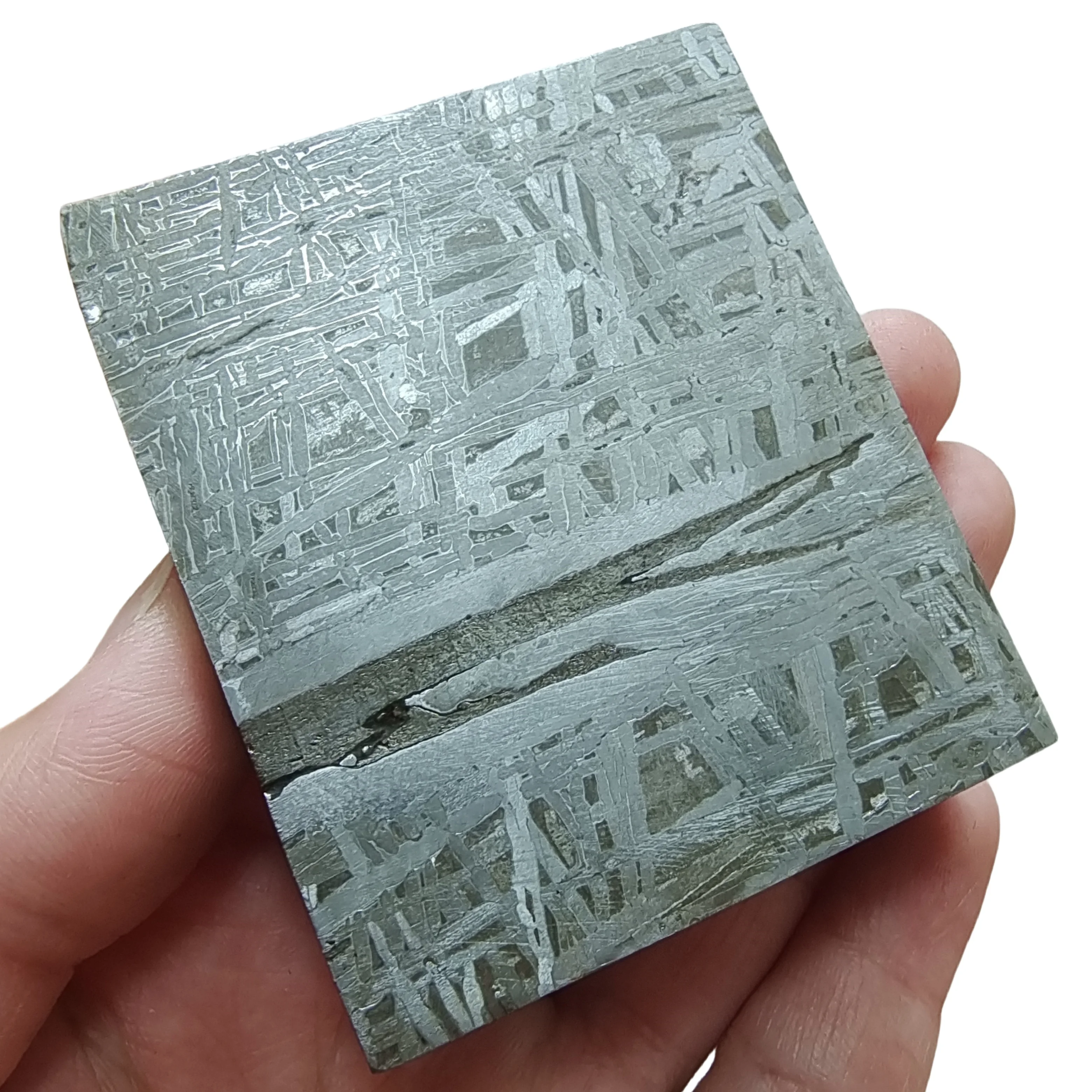 354g Muonionalusta อุกกาบาต Slice เหล็กธรรมชาติอุกกาบาตวัสดุตัวอย่าง Meteorite Slice Collection -TC603 1