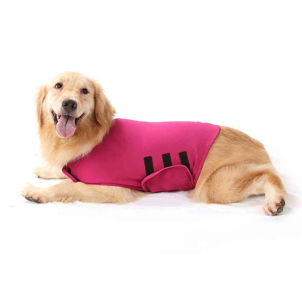 Dog Calming Vest Doggie Door