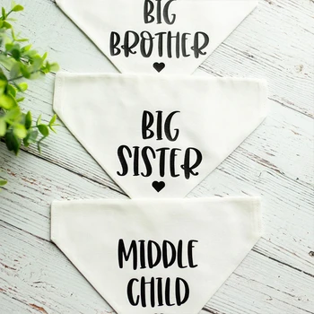 Announcement Dog Bandana 1