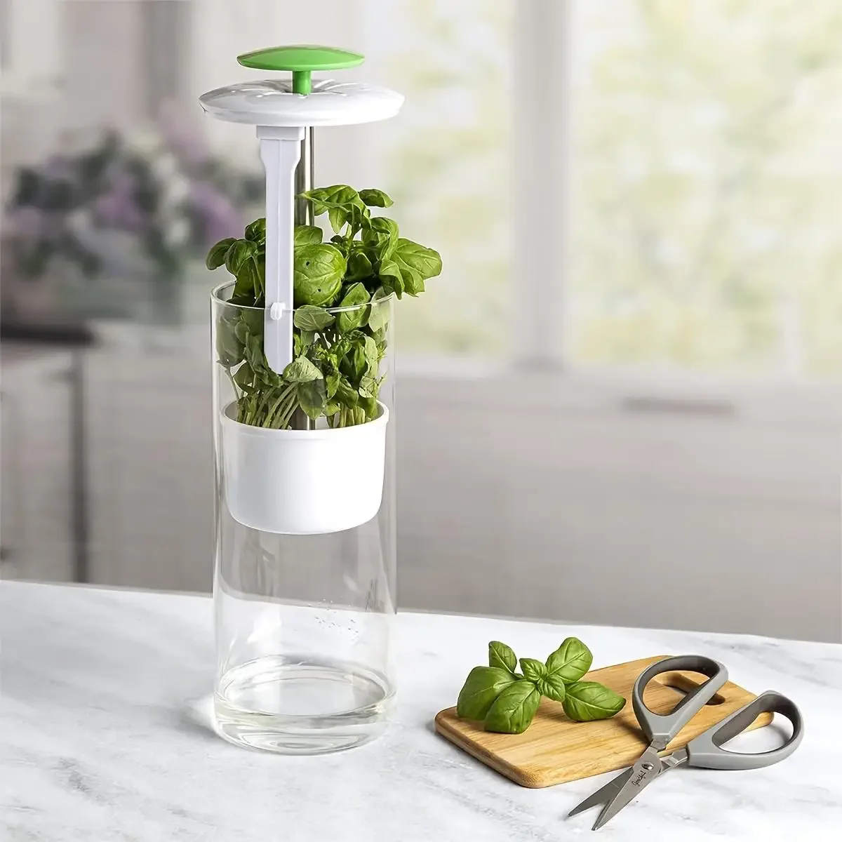 1PC-Herb Saver Container Preservation