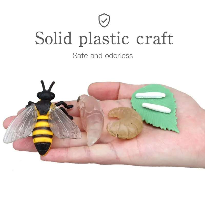 Children Simulation Biology Model Toy Animal Plant Life Growth Cycle Montessori Children Toys Set Teaching Aids Educational Toys 4