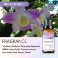 Black Orchid