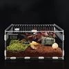 Reptiles Feeding Box Breeding Case Acrylic Terrariums for Reptiles Small Snake 3