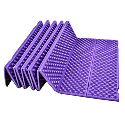 Ultralight Waterproof Outdoor Sleeping Pad - Inflatable Camping Mattress and Air Cushion Travel Mat (PURPLE)