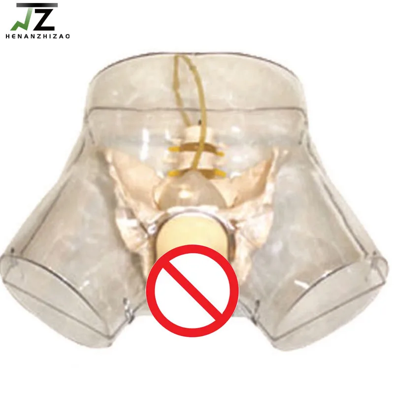Transparent Male or Female Urethral Catheterization Model