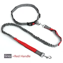 Hands - Free Retractable Dog Leash with Adjustable Waist Rope (03)