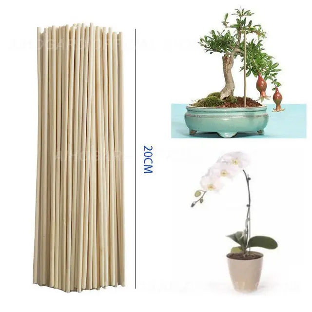 50Db/Pack Bambuszpálca Növényi Növekedési Támogató Rúd Kis Bonsai Ág Szőlő Kertészeti Botok 30 Cm - Image 3