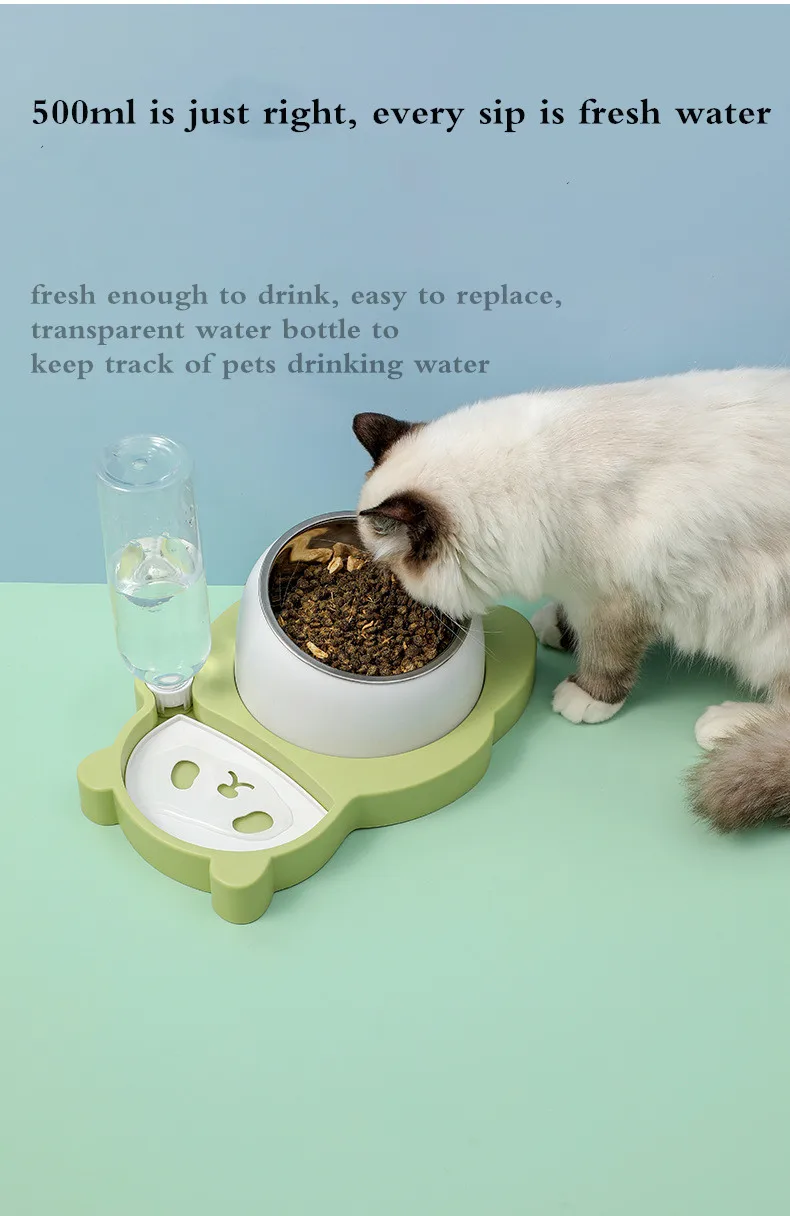 Can Dogs And Cats Drink From The Same Bowl
