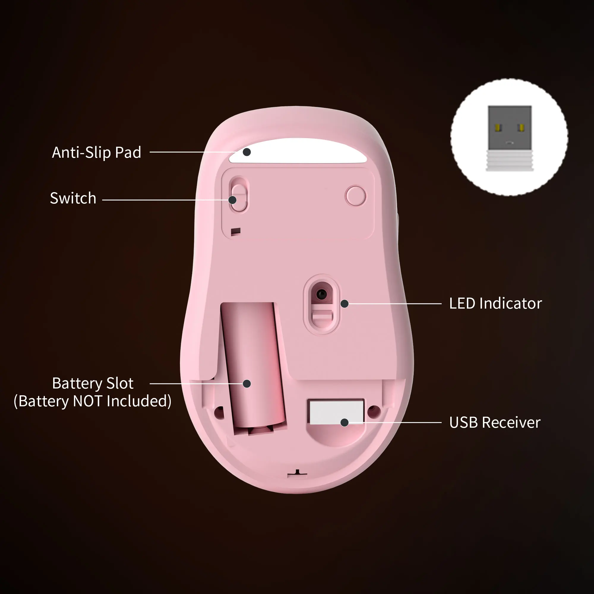 dsc-products