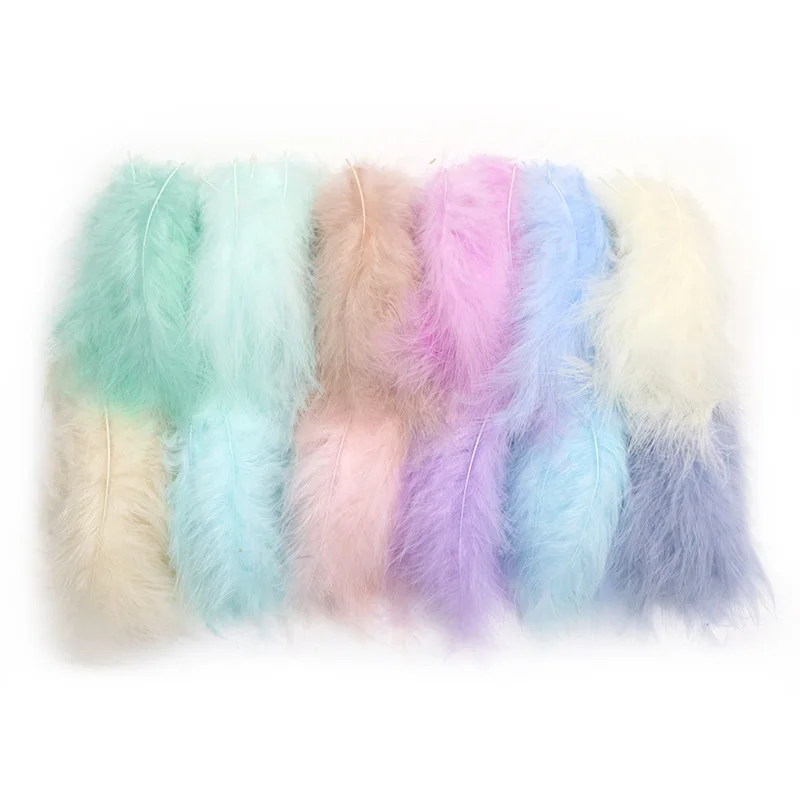 100 Plumes D'indien 12 à 15 Cm, 5 Couleurs Assorties, Loisirs Créatifs