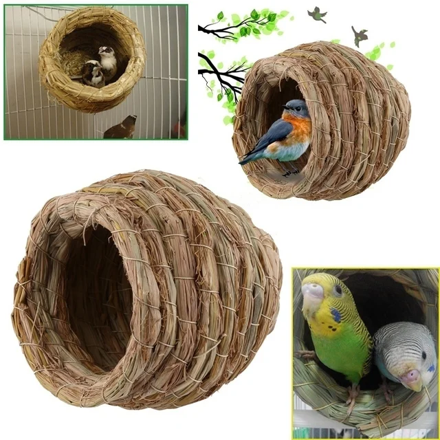 Oiseau Perroquet en Paille Tiss s La Main Cage Animaux Hamster Perroquet closion D levage Grotte