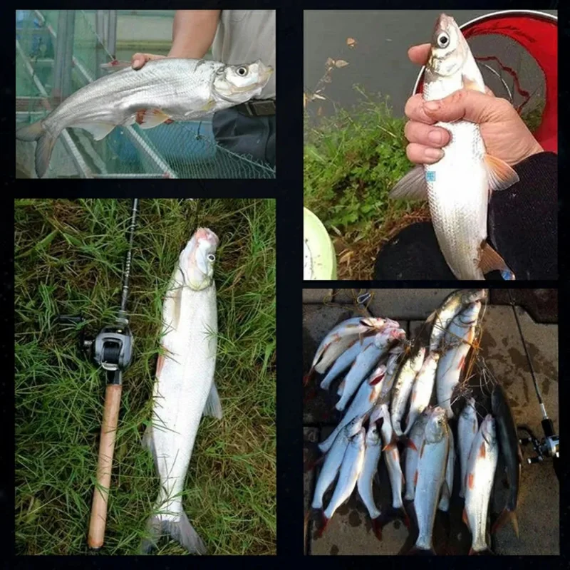 5/10pcs Loach Baits Bass Pike Trout Soft Fishing Bait Bouncing Lure  Simulation Bionic Silicone Tail Wobbler Lures 3D Bait 10cm - AliExpress