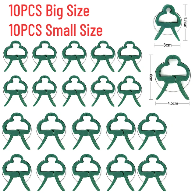 10pcs Small and big