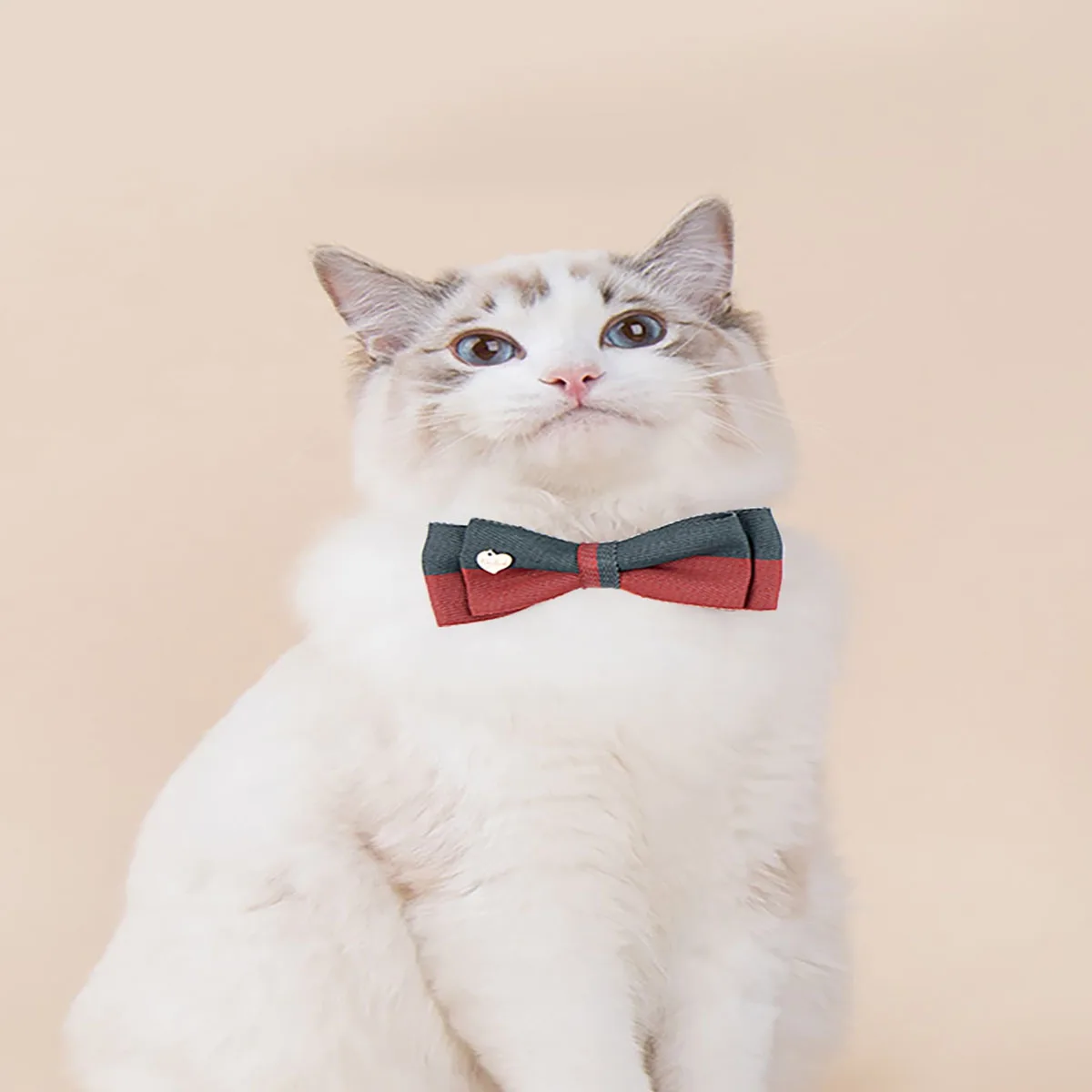 1pc-Cat Two-color Adjustable Bow Tie Pet Collar Pet Supplies