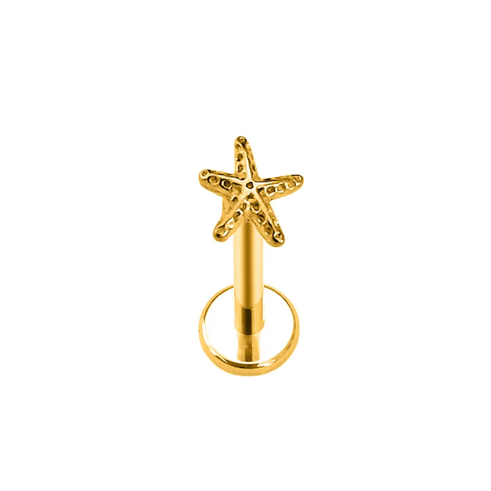 ASTM F136 G23 Titanium Flower Heart Star Drop Threadless Piercing Petals Leaf Moon Pin Push in Labret Stud Daith Conch Earring Piercing Jewelry Body Piercing Earrings Ear Piercing Jewelry Ear Studs Metal Jewelry Body Piercing Jewelry Body Jewelry