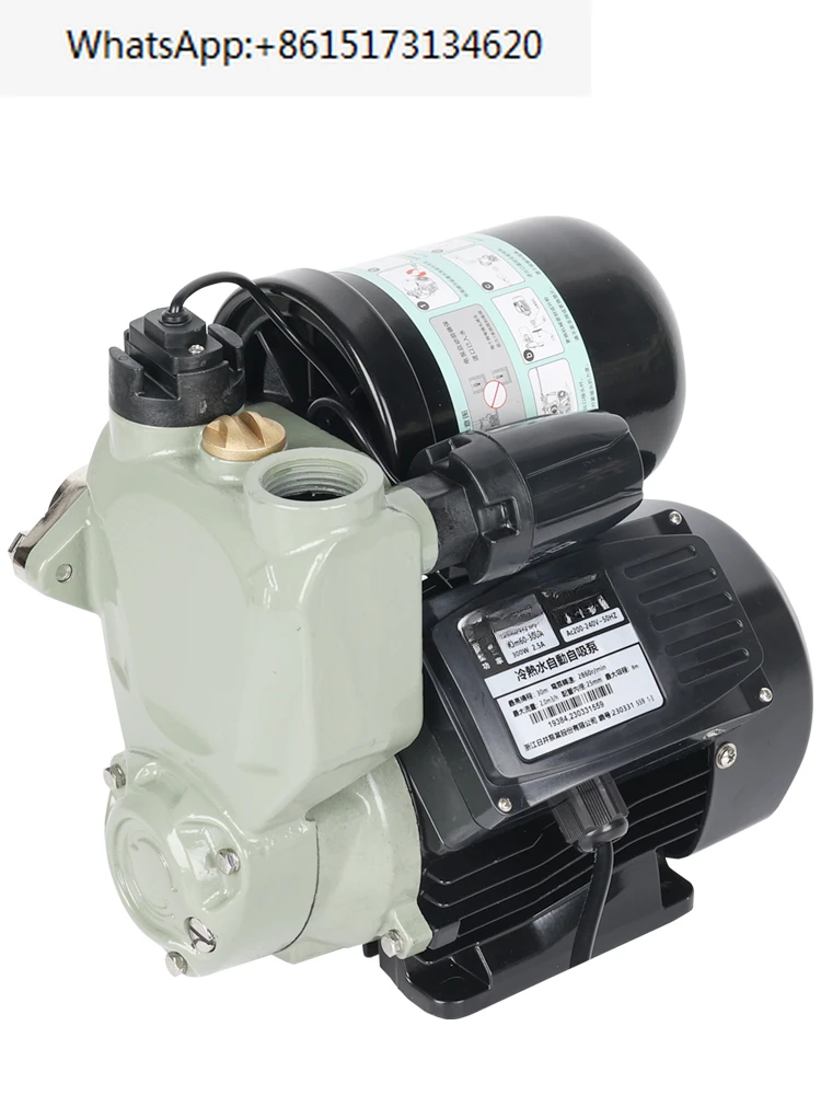 Jlm/Rjm60-200A Pompa Booster Completamente Automatica Per Uso Domestico Pompa Di Pompaggio Automatica Autoaspirante Rjm60-200A