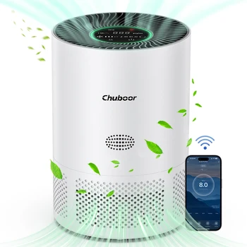 HEPA Air Purifier for Home 1