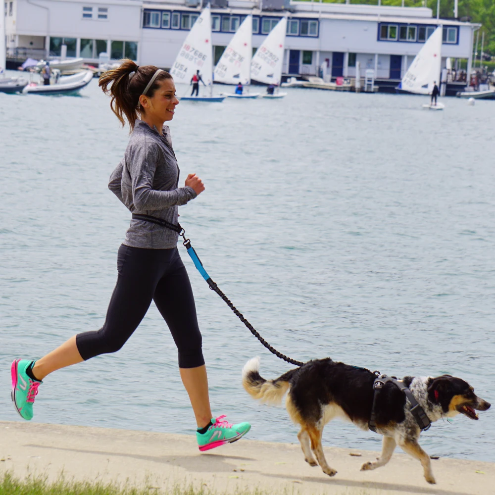 Hands Free Dog Leash 5