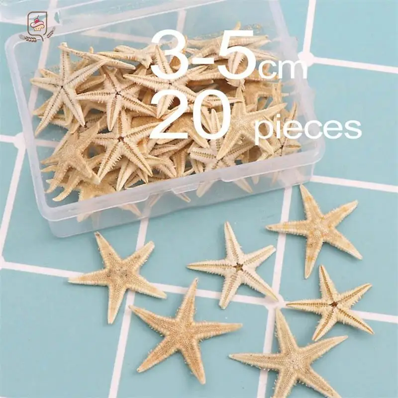1Box/1pc Round Square Natural Starfish Seashell Beach Craft DIY Beach Wedding Decoration Crafts Home Decor
