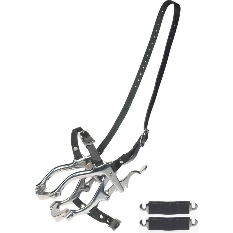 Рисунок 5 - Ветеринарное стоматологическое зеркало