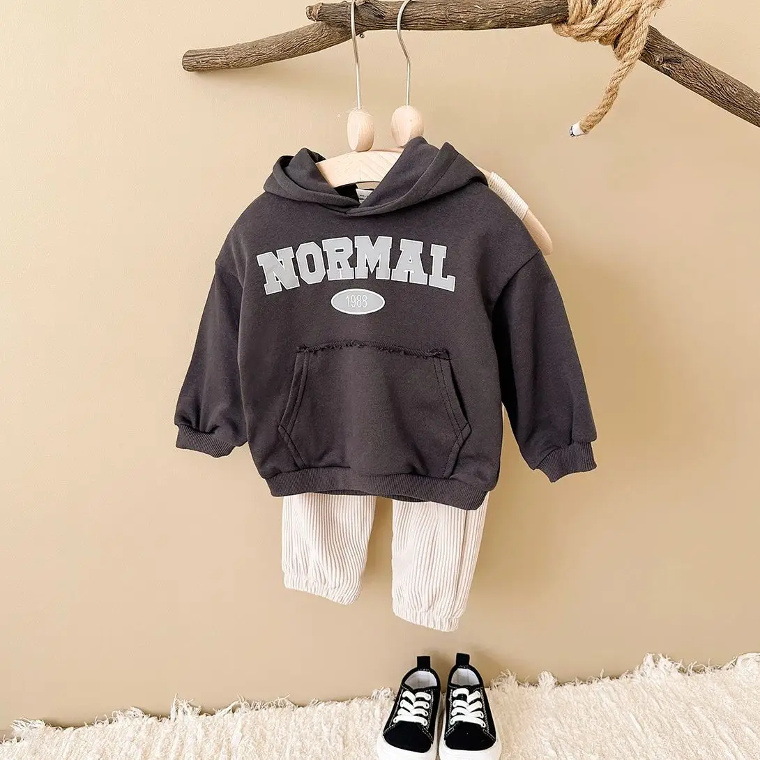 Baby Boy Clothes Set Long Sleeve Hooded Pocket Top + Pants Cotton 2Pcs Autumn Sweat Suit Spring Newborn Clothes Infant Outfit