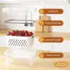 Fruit Storage Containers for Fridge with Removable Colander, Airtight Food Storage Container, Dishwasher Safe Produce Saver 2