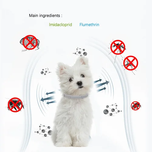 애완 동물 벼룩 진드기 방지, 기생충 방지 고양이 목걸이, 개 보호 개폐식 목걸이, 강아지 고양이 대형견 액세서리, 38 cm, 70cm, 신제품 4