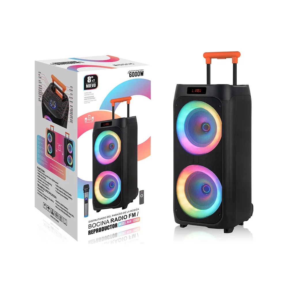NDR Large Size Active Subwoofer Outdoor Wireless 6