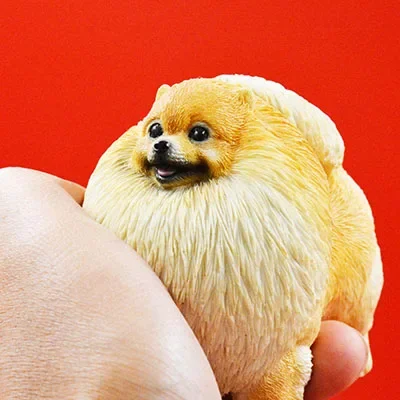 

M7 симпатичная Померанская собака фигурка для домашних животных модель животного коллекционер игрушек украшение подарок для малыша