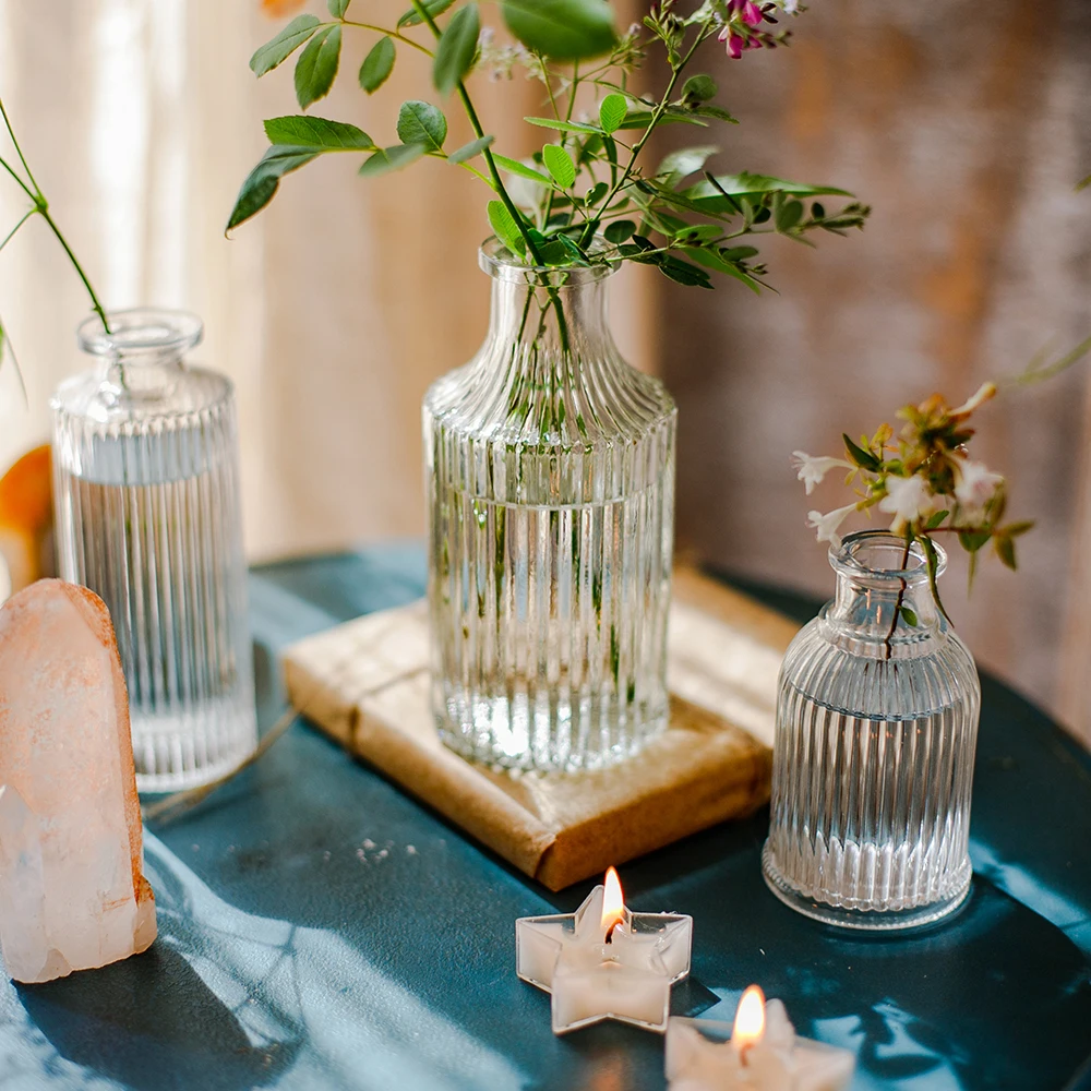 Small Transparent Flower Vase Mini Glass Vase Hydroponic Plant Bud Vase Nordic Home Decor Living Room Table Terrarium Decoration 5
