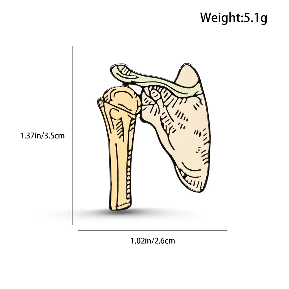 Harong kość ramienna i łopatka emaliowana szpilka wyśmienita anatomia ciała broszka z klapą ortopedia lekarz pielęgniarka odznaka