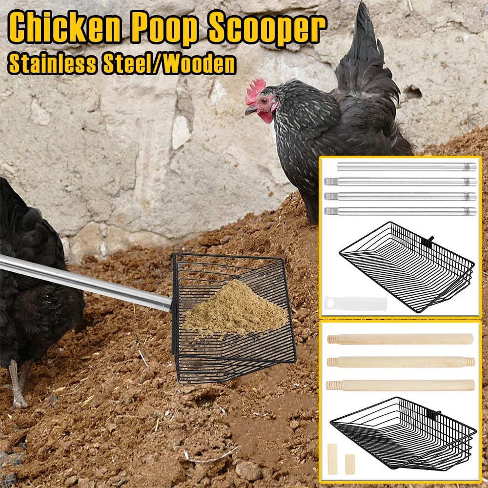 Aazon.co : NigWar Chicken Poop Scooper,10-inch Stainless Steel