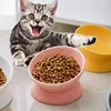 Elevated Cat Bowls Small Dog 15° Tilted Raised Food Feeding Dish Ceramics Stand Feeder for Cats and Puppy 6 Colors 2