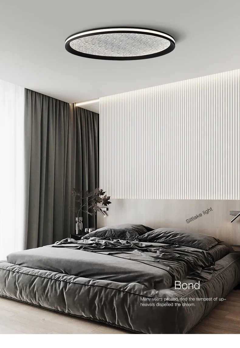 Description Picture 2 of itemStarry sky bedroom lamp led ceiling lamp modern simple master bedroom study round minimalist ceiling lights