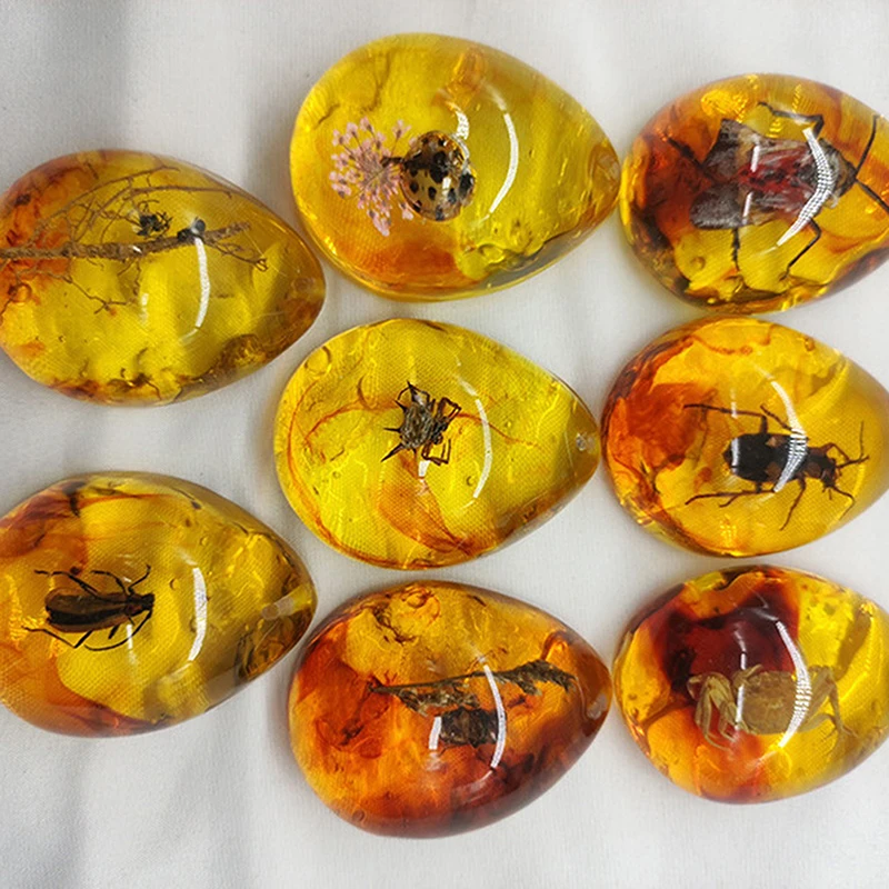 Resin Crafts 1PC DIY Insects Amber