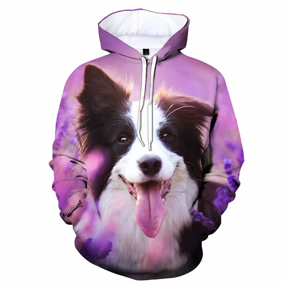 Funny Border Collie Dogs 3d Print Hoodies Men Women Border Collie Dog Pullover Hoodie Sweatshirt