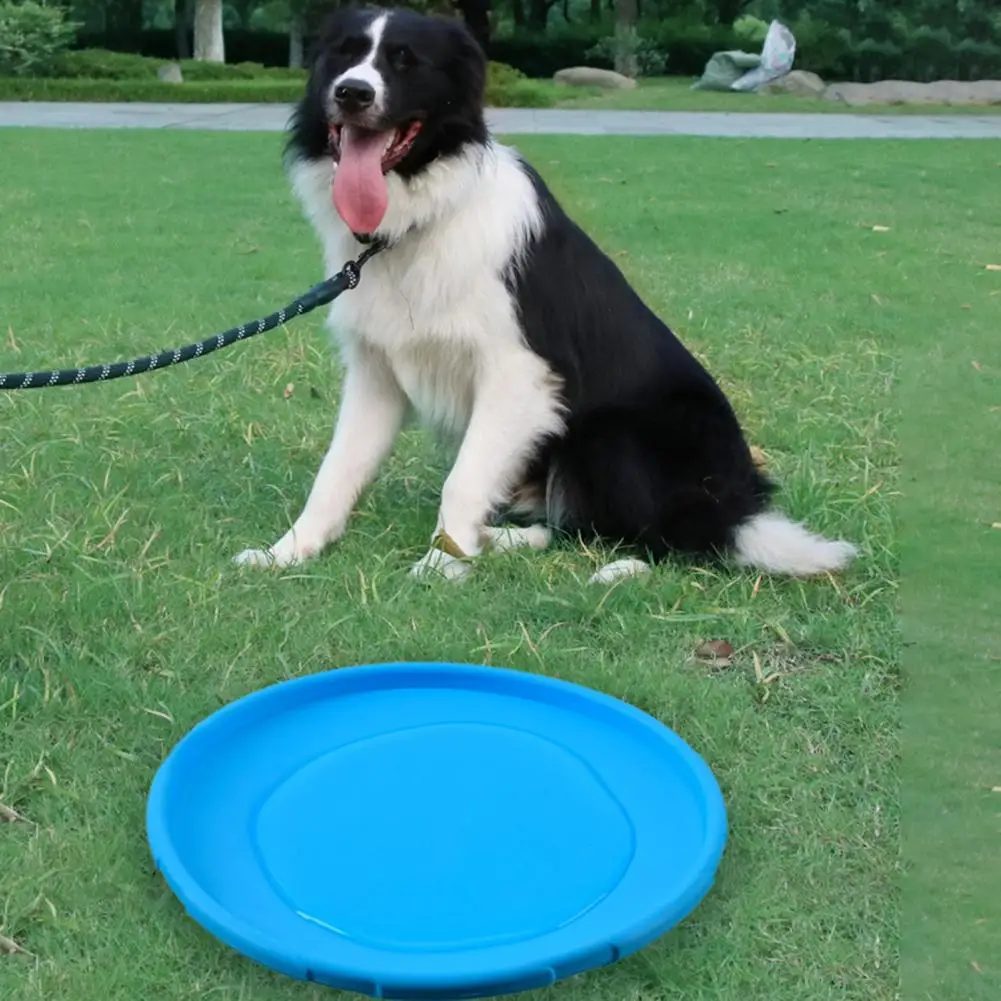 Universal Dog Flying Disc Delicate Sports Tool TPR Dog Game Flying
