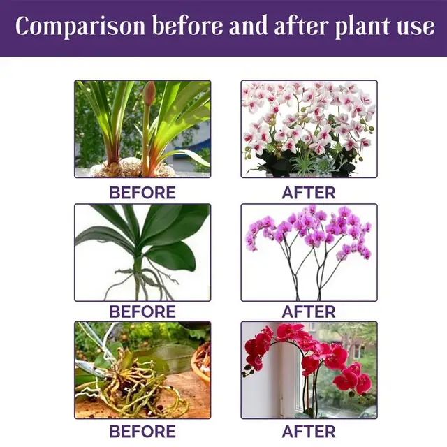 50 Ml -Es Orchideák Koncentrált Tápanyag -Oldat Gyors Gyökérzet Virágzatok Műtrágya Tápanyagoldat Növény Növekedése Fokozó Kiegészítő - Image 6