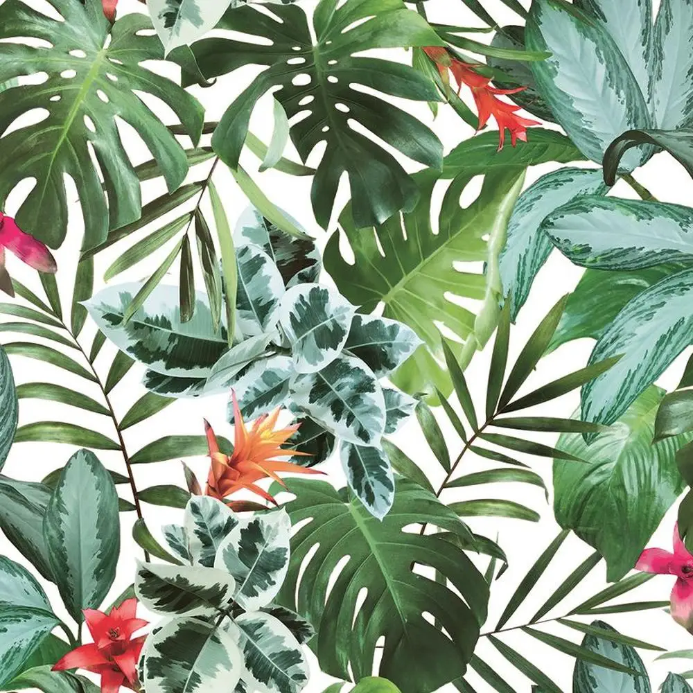

Rainforest Self Adhesive Wallpaper DIY Jungle Vibe Decor Repositionable, Bathroom-Friendly Made in USA 27"W x 9 Yds