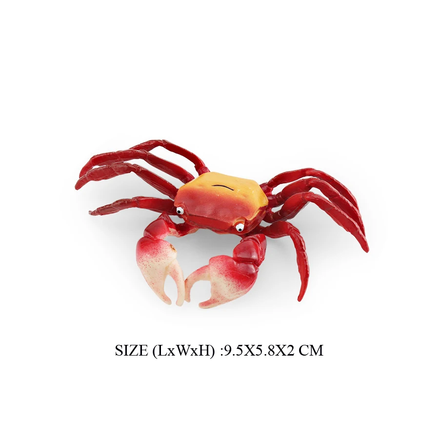 Realistische Ozean Tiere Einsiedlerkrebs Kokosnuss Krabbe Fiddler Krabbe Meer Leben Modell Action-figuren Meerestiere Spielzeug Für Home Decorati – Detail 8