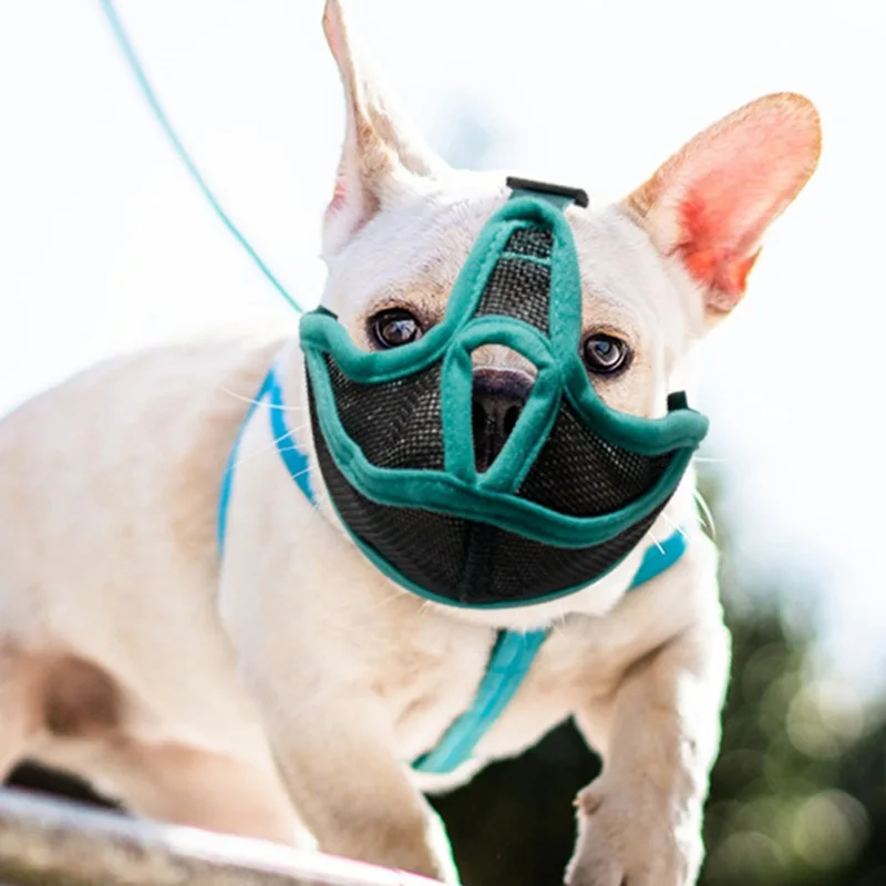 Short Snout Pet Dog Muzzles 1 Short Snout Pet Dog Muzzles 1