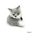 Grey D
