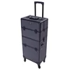 2 in 1 Rolling Makeup Train Case Professional Cosmetic trolley on Wheels Aluminum Nail Cart Cosmetic Suitcase for professional 2