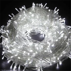 LED Christmas Fairy String Lights - Indoor/Outdoor Decorative Garland - 10M 100LED 220V EU (White)