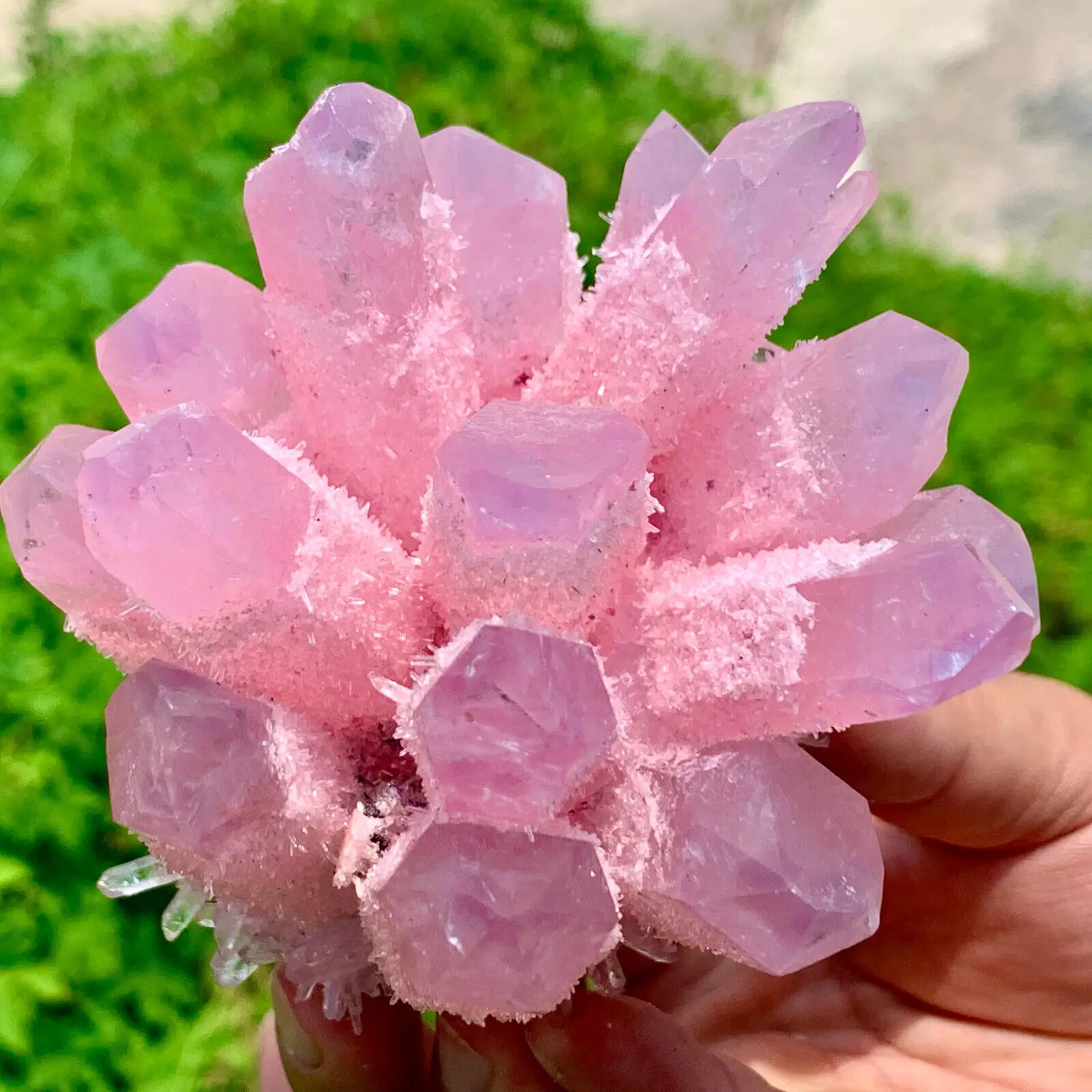 Natural Purple Pink Cluster Flower Energy Gem Reiki Healing Room Office Decoration Gift 2