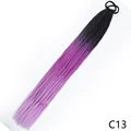 C13