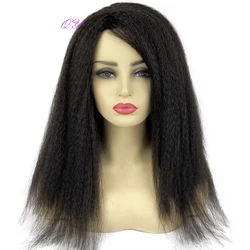 Black Good Quality Synthetic African Female Wig Long Natural Afro Kinky Straight Wigs For Women Fluffy Fake Hair