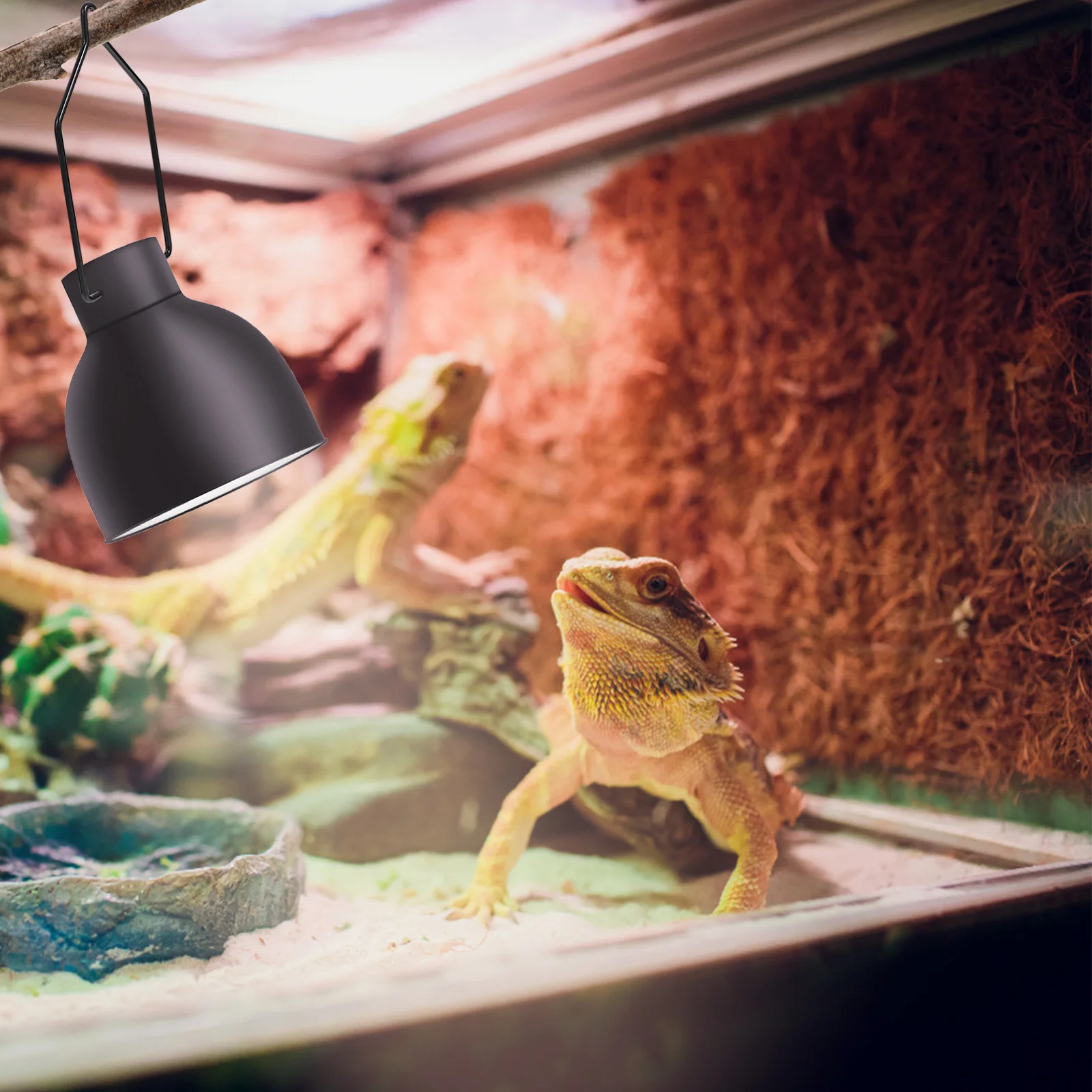 Reptile Lamp Clips Metal Reptile Lamp Holder Light Clamps Pet Products Habitat Lighting Light Clips Animal Climbing 6Pcs