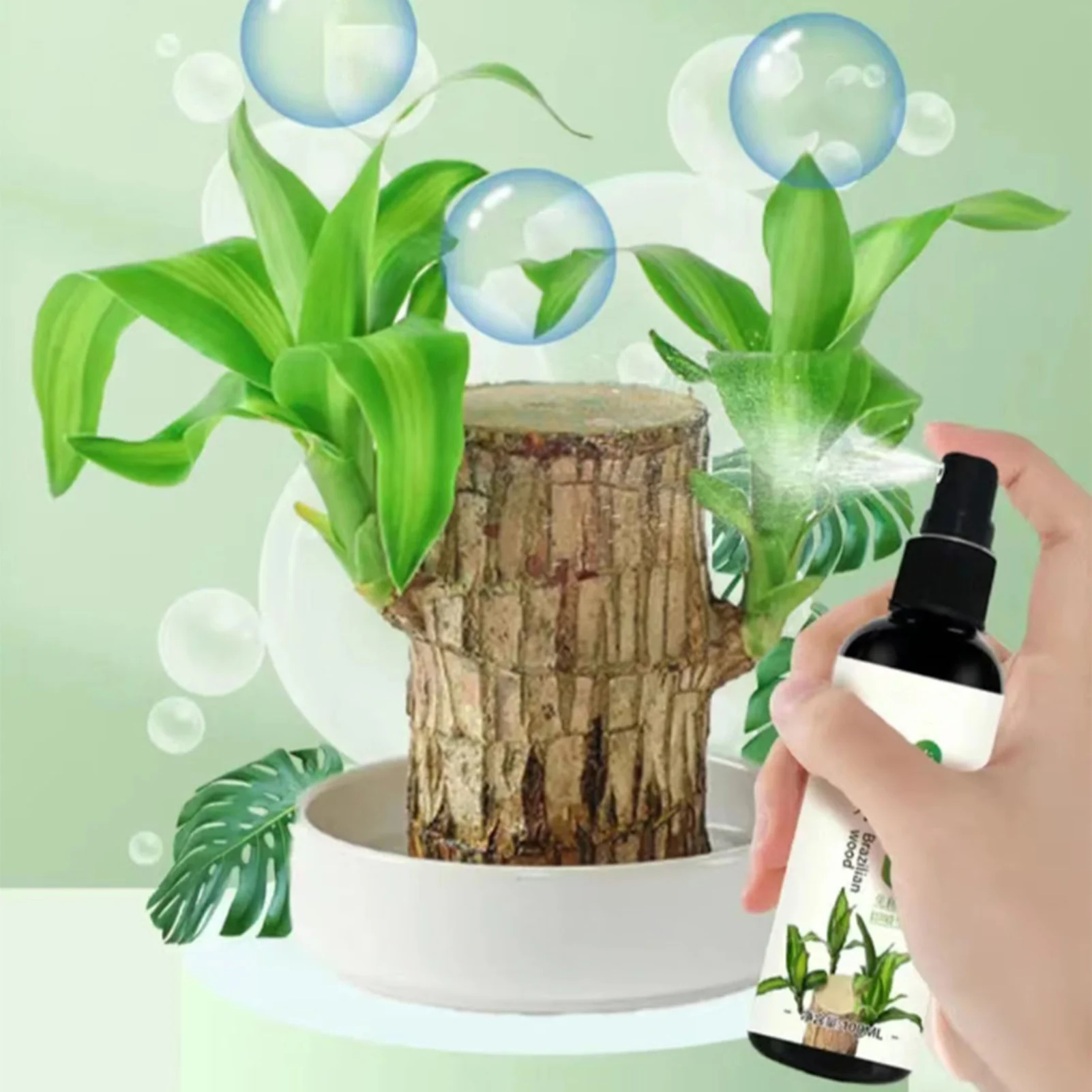 Plant Nutrient Solution 100ml Brazilian Wood Specific Liquid Fertilizer Household Hydroponic