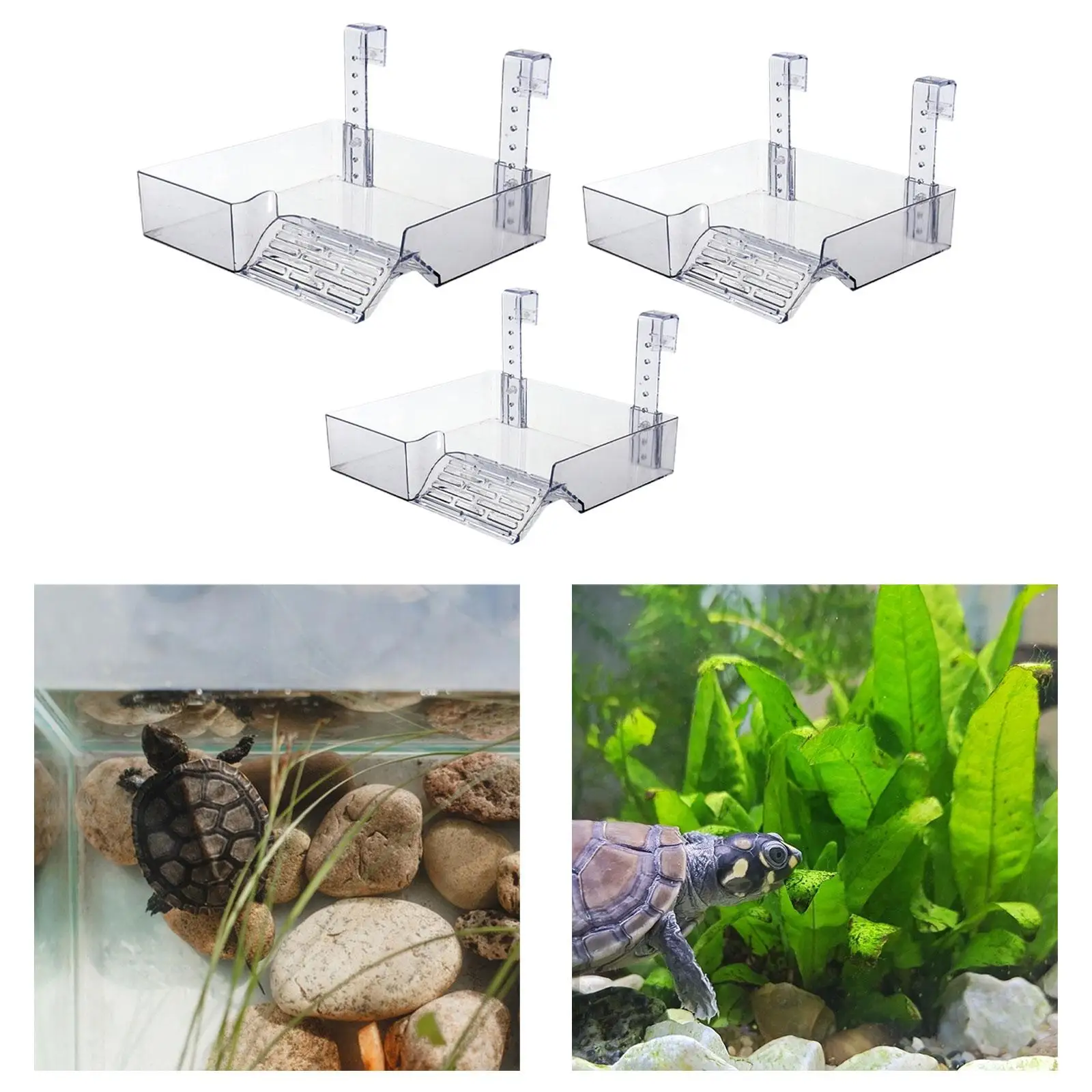 Hanging Turtle Basking Platform Resting Terrace Transparent Tortoise Ramp